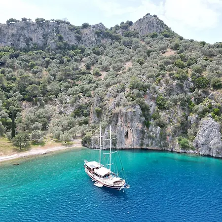 Hayat Bu, Boot * Φετιγιέ